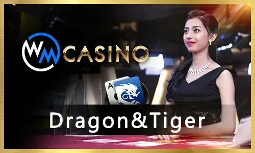 Live Bingo Experience